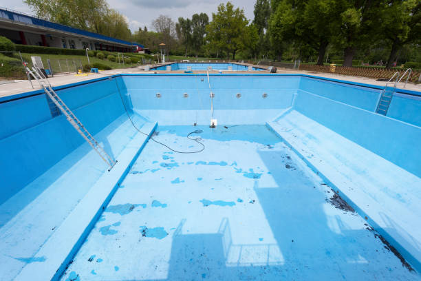 Best Sewage cleanup and water damage restoration  in Edwardsvle, IL