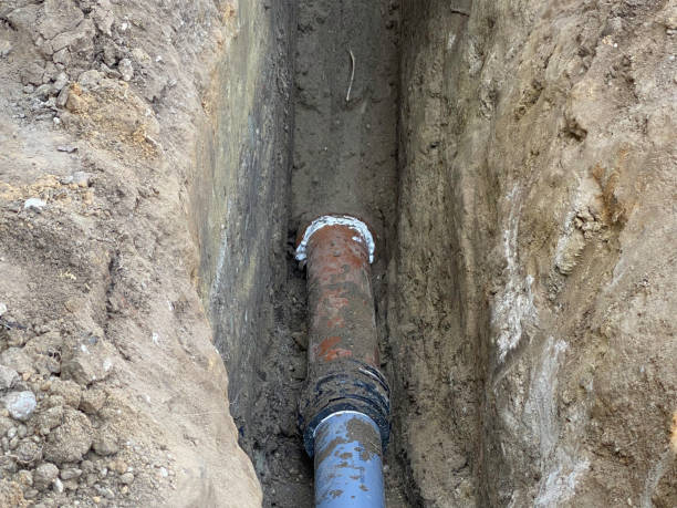Best 24/7 water damage repair  in Edwardsvle, IL