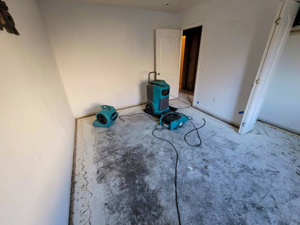Best Flood restoration services  in Edwardsvle, IL