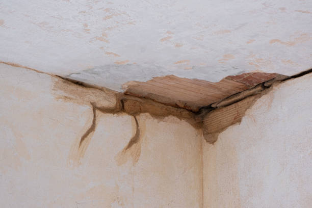 Best Basement water damage restoration  in Edwardsvle, IL