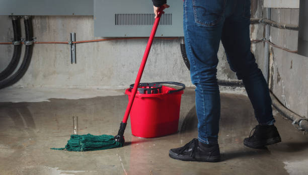 Best Ceiling water damage repair  in Edwardsvle, IL