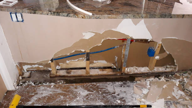 Best Water damage restoration near me  in Edwardsvle, IL