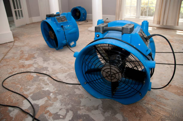 Best Commercial water damage restoration  in Edwardsvle, IL