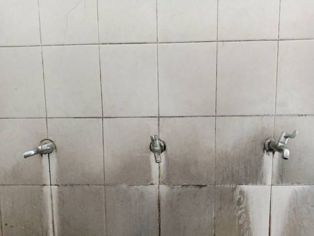 Best 24-hour water damage restoration  in Edwardsvle, IL