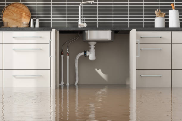 Best Emergency water damage restoration  in Edwardsvle, IL
