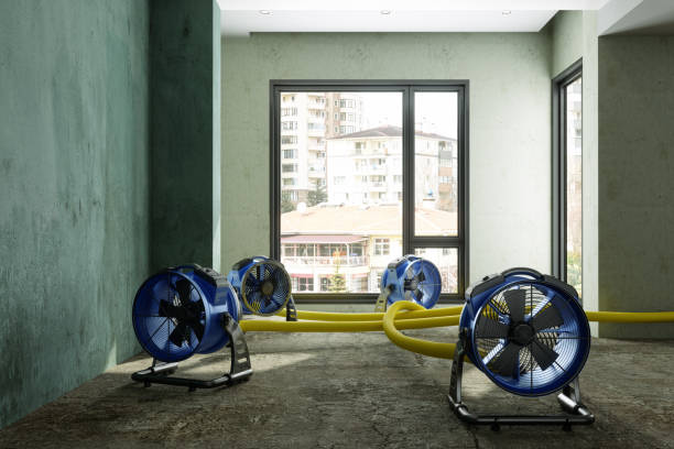 Best Emergency water damage restoration  in Edwardsvle, IL